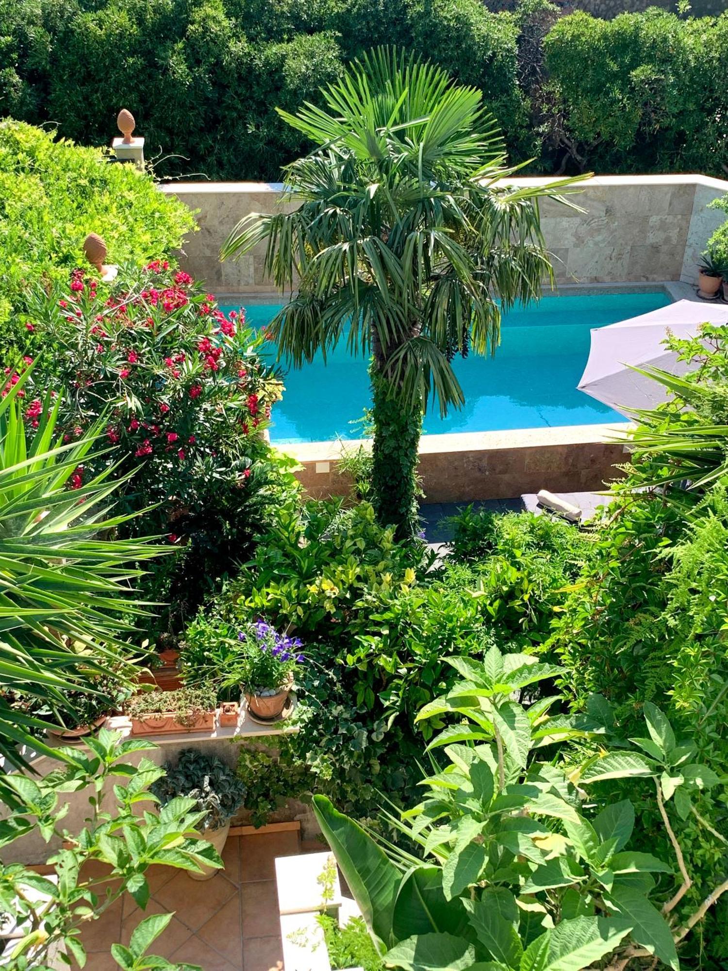 Luxury Pool Central Makarska Apartment By Maryn Екстер'єр фото